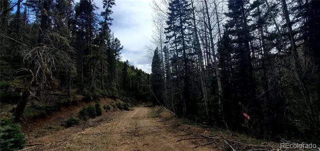 5660 Kawasaki Road San Luis, CO 81152