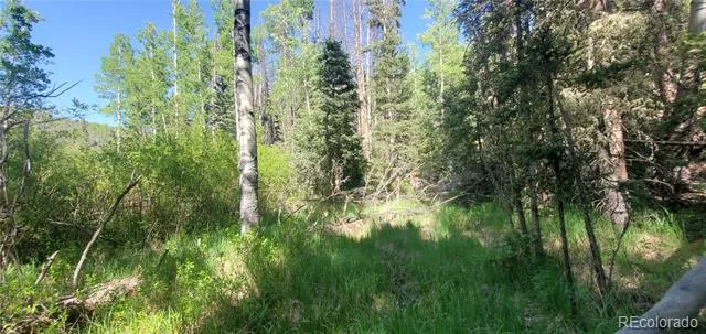 5660 Kawasaki Road San Luis, CO 81152