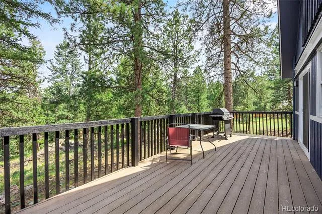 198 Blueberry Trail Bailey, CO 80421