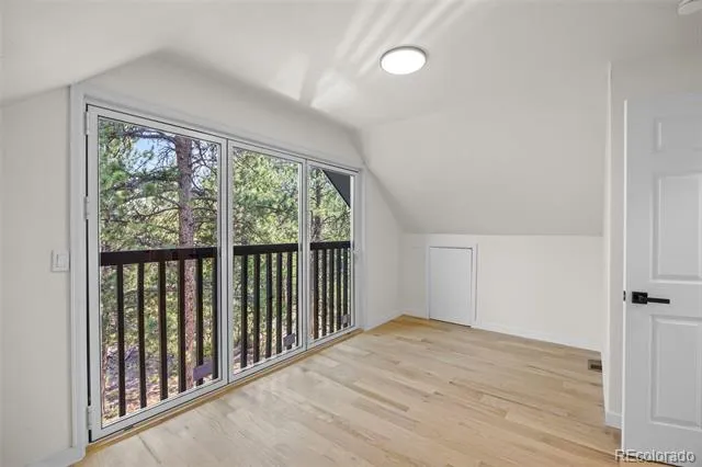 198 Blueberry Trail Bailey, CO 80421