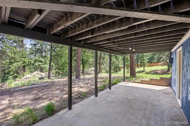 198 Blueberry Trail Bailey, CO 80421