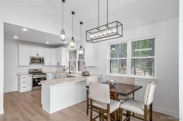 717 Alice Road Idaho Springs, CO 80452