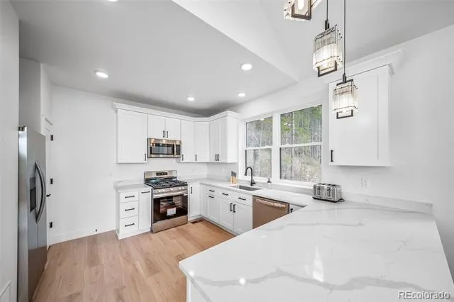 717 Alice Road Idaho Springs, CO 80452