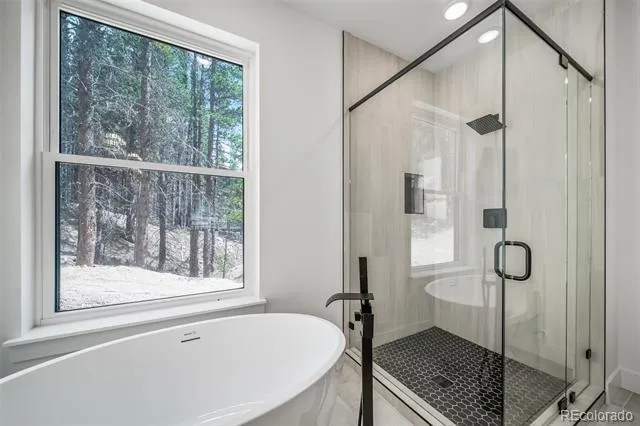 717 Alice Road Idaho Springs, CO 80452