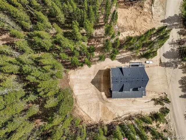 717 Alice Road Idaho Springs, CO 80452