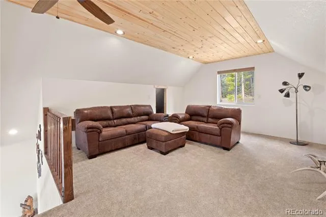 64 Bourbons Way Fairplay, CO 80440