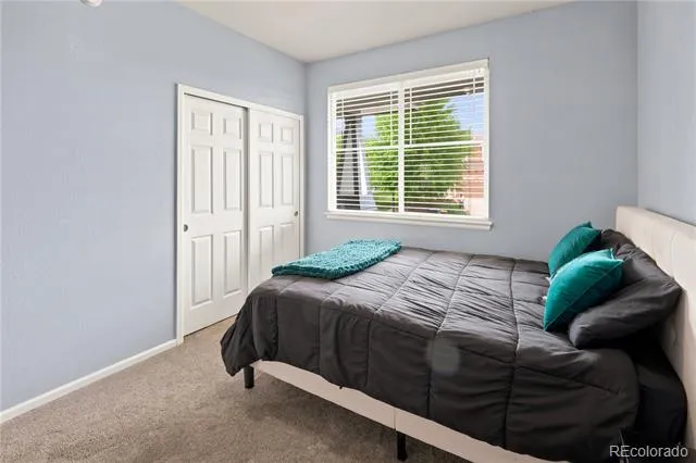 3064 Trailblazer Way Castle Rock, CO 80109