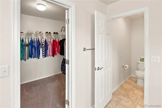3064 Trailblazer Way Castle Rock, CO 80109