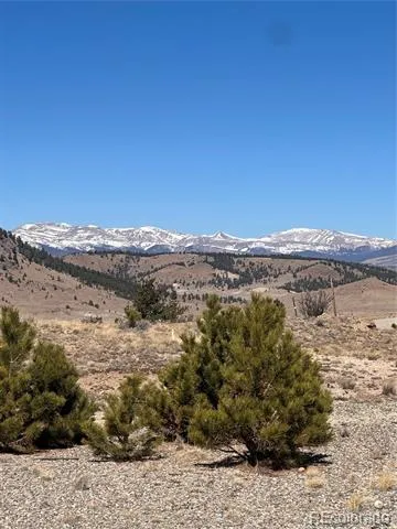 260 Saddle Trail Hartsel, CO 80449