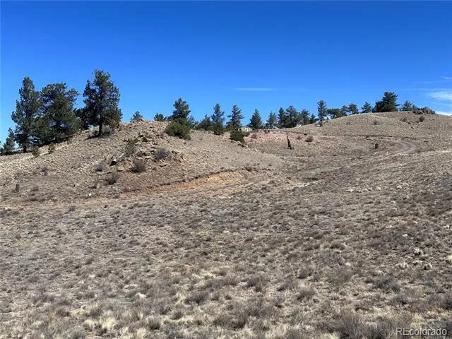 260 Saddle Trail Hartsel, CO 80449