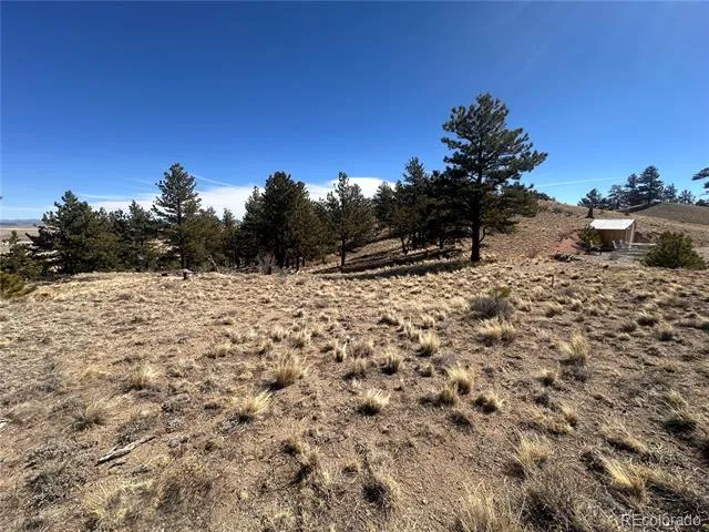 260 Saddle Trail Hartsel, CO 80449