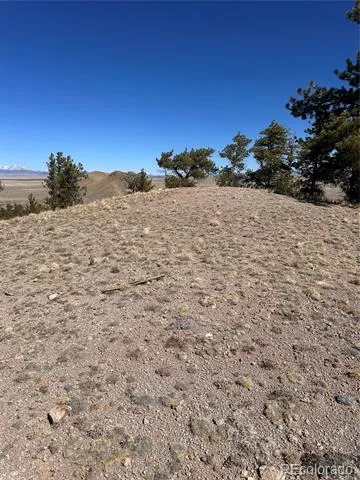 260 Saddle Trail Hartsel, CO 80449