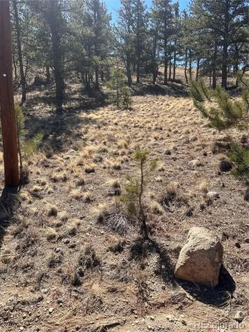 260 Saddle Trail Hartsel, CO 80449
