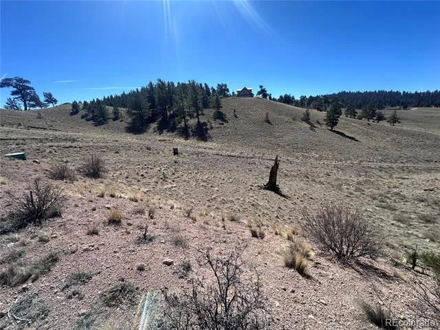 260 Saddle Trail Hartsel, CO 80449