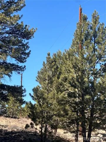 260 Saddle Trail Hartsel, CO 80449