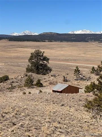 260 Saddle Trail Hartsel, CO 80449