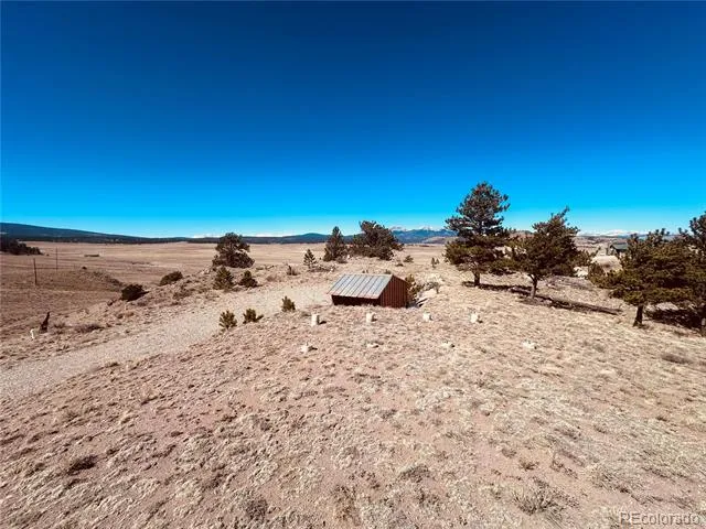 260 Saddle Trail Hartsel, CO 80449