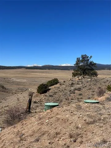 260 Saddle Trail Hartsel, CO 80449