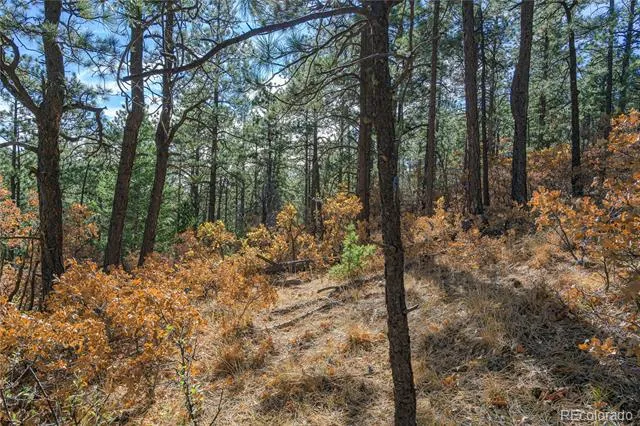 14341 North Ridge Weston, CO 81091