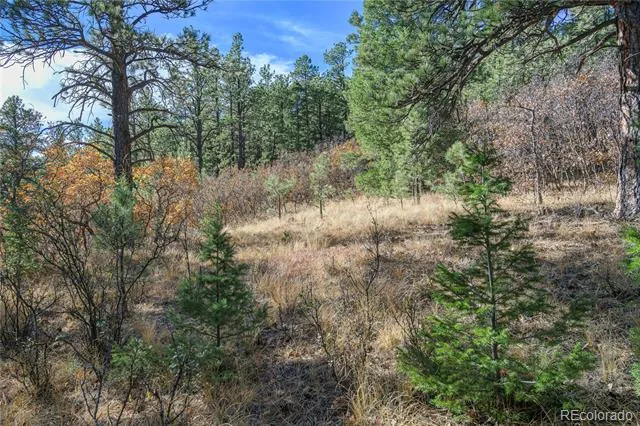 14341 North Ridge Weston, CO 81091