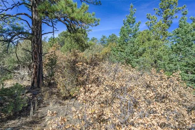 14341 North Ridge Weston, CO 81091