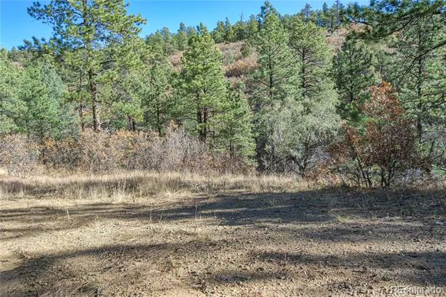14341 North Ridge Weston, CO 81091