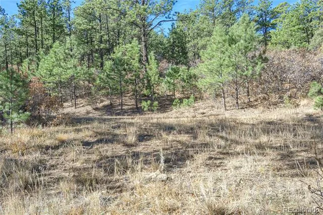 14341 North Ridge Weston, CO 81091