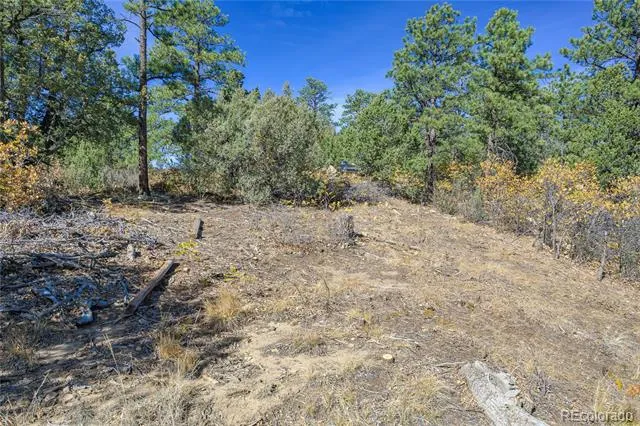 14341 North Ridge Weston, CO 81091