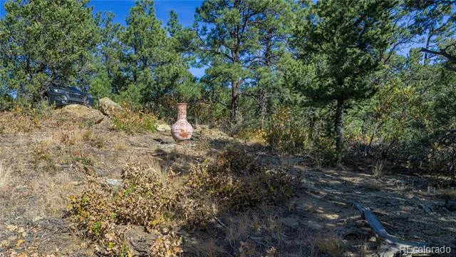 14341 North Ridge Weston, CO 81091