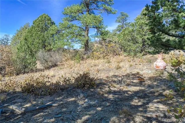 14341 North Ridge Weston, CO 81091