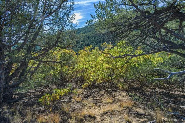 14341 North Ridge Weston, CO 81091