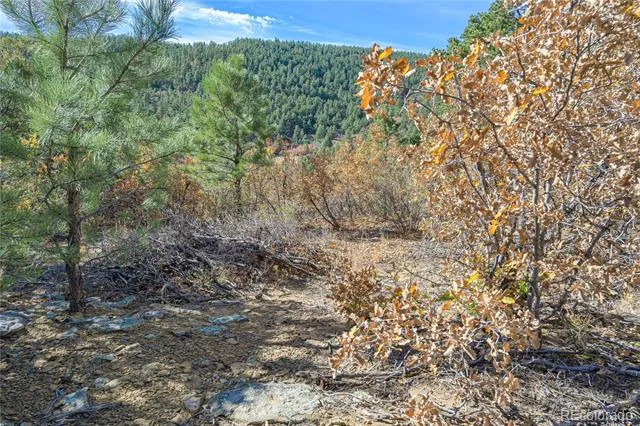 14341 North Ridge Weston, CO 81091