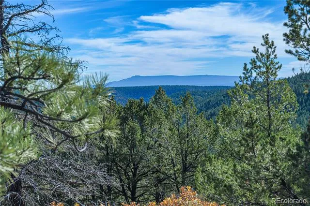 14341 North Ridge Weston, CO 81091