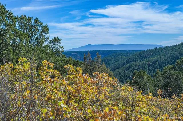 14341 North Ridge Weston, CO 81091