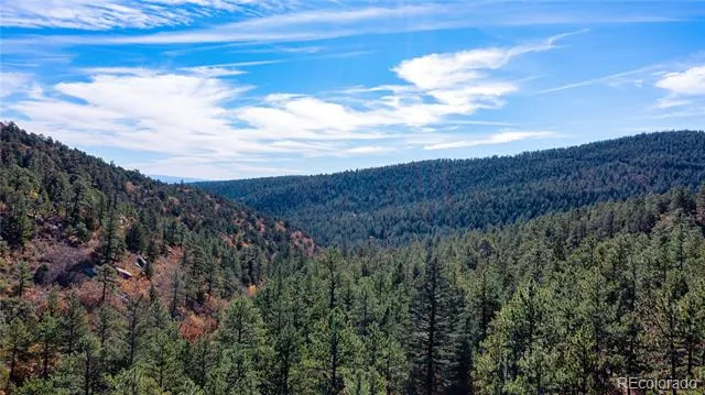 14341 North Ridge Weston, CO 81091