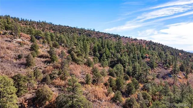 14341 North Ridge Weston, CO 81091