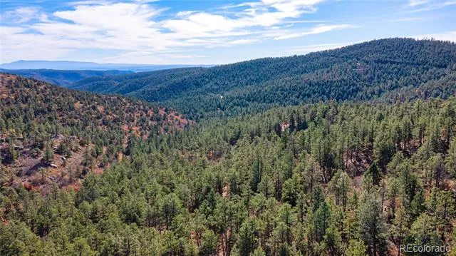 14341 North Ridge Weston, CO 81091