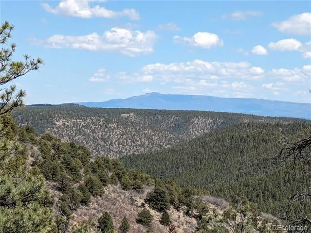 14341 North Ridge Weston, CO 81091