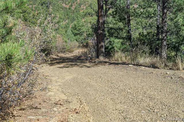14341 North Ridge Weston, CO 81091