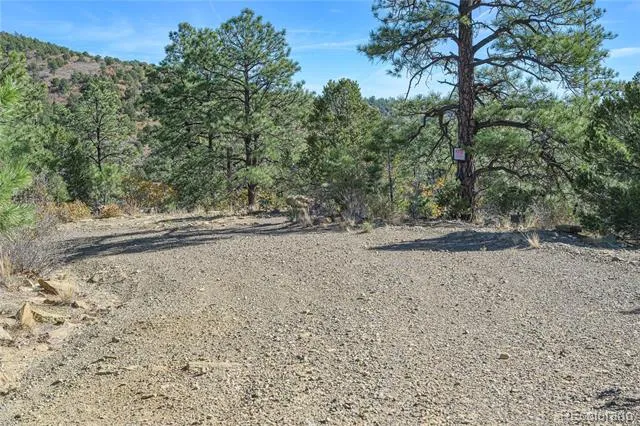 14341 North Ridge Weston, CO 81091