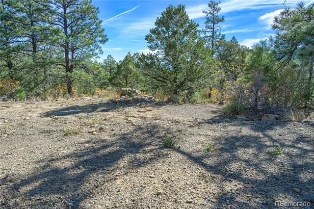 14341 North Ridge Weston, CO 81091