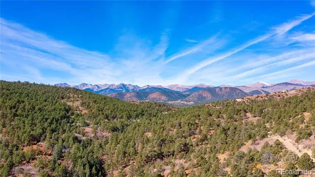 14341 North Ridge Weston, CO 81091