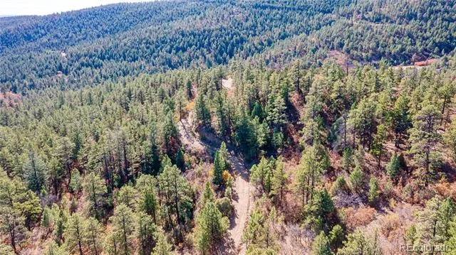 14341 North Ridge Weston, CO 81091