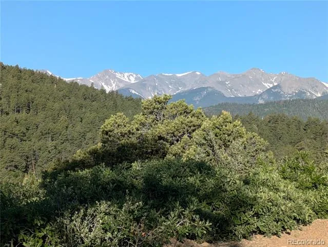 14341 North Ridge Weston, CO 81091