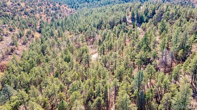 14341 North Ridge Weston, CO 81091