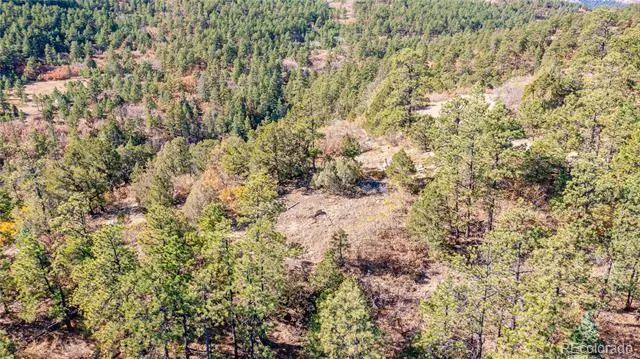 14341 North Ridge Weston, CO 81091