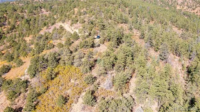14341 North Ridge Weston, CO 81091