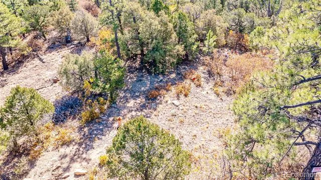 14341 North Ridge Weston, CO 81091