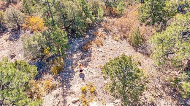 14341 North Ridge Weston, CO 81091
