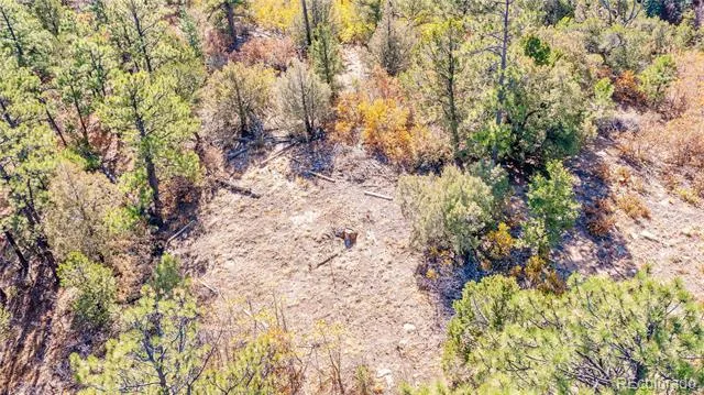 14341 North Ridge Weston, CO 81091